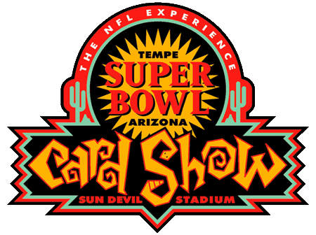 Super Bowl XXXI Special Event Logo iron on transfers for T-shirts